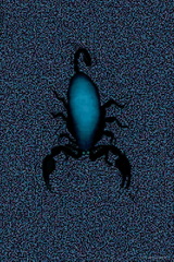 Scorpion aux yeux bleus 
